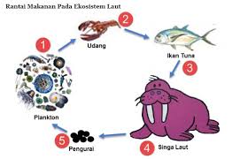 Materi Dan Kunci Jawaban Tematik Kelas 5 Tema 5 Subtema 2 Halaman 56 58 59 Gawe Kami
