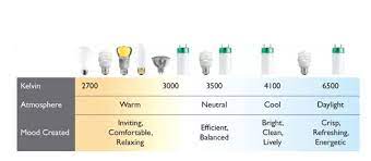 Xenon, quarts, ext, exn, or krypton. Best Guide For Halogen Light For Plants
