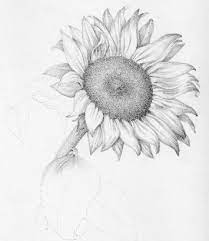 39 high quality collection of sunflower pencil drawing by clipartmag. Sunflower Tattoo Drawing Tattoobite Com Flower Sketch Pencil Flower Sketches Sunflower Drawing