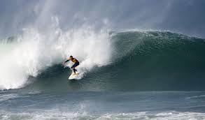 نتیجه جستجوی لغت [surf] در گوگل