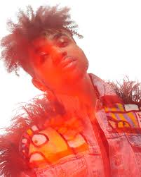 David Genik (@david.genik) · New York, NY