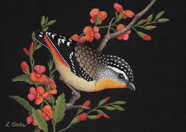 Lyn Cooke Artist Specializing In Wildlife Birds Ballarat Victoria Australia Birds Bird Art Victoria Australia