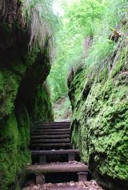 Forstleute schuften für den #wandertag : Wanderung Rund Um Die Drachenschlucht Und Den Rennsteig Eisenach Hiking Trip Nature Travel Germany Travel