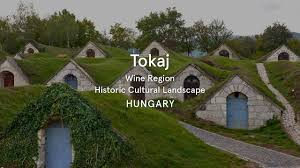 View of budapest at sunset, hungary. Tokaj Wine Region Hungary World Heritage Journeys Buddha