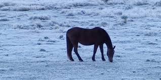 Várias estações que possuem séries históricas de apenas duas décadas têm na onda de frio de 2012 as suas menores mínimas absolutas até hoje, caso de santa rosa, no. Frio Aumenta E Terca Comeca Congelante Metsul Meteorologia