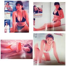 昭和平成スター・アイドルVHS【かとうれいこ・細川ふみえ・特別付録堀江しのぶ ゴージャス2】※コレクション