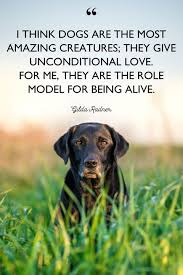 Browse all 6 cards » 40 Best Dog Quotes Cute Sweet Quotes About Dogs