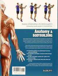 Anatomy Bodybuilding A Complete Visual Guide Ricardo
