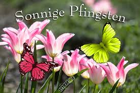 Pfingstsonntag bild 26374 bekommt die besten bilder für euer gästebuch in der kategorie pfingstsonntag. Kostenlose Pfingsten Bilder Gifs Grafiken Cliparts Anigifs Images Animationen