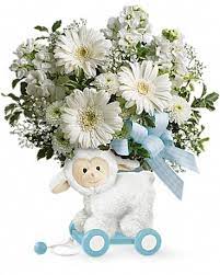Check spelling or type a new query. Teleflora S Sweet Little Lamb Baby Blue In Cincinnati Oh Janet Flower Shop
