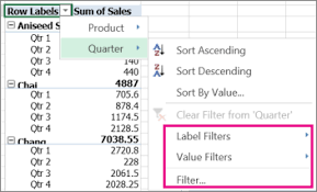 Filter Data In A Pivottable Office Support