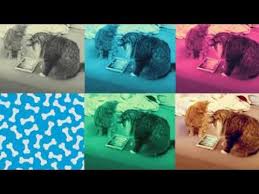Mouse For Cats Video Trailer Cat Mouse Cat Gif Cats