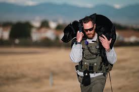Larimer County Sheriff's Office