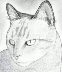 How do you draw a simple cat? How To Draw A Cat Head Draw A Realistic Cat Step By Step Drawing Guide By Finalprodigy Dragoart Com Cat Drawing Tutorial How To Draw A Cat Cat Drawing