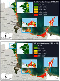Wilayah cirebon berdekatan dengan pesisir laut. Assessing The Degree Of Tidal Flood Damage To Salt Harvesting Landscape Using Synthetic Approach And Gis Case Study Cirebon West Java Sciencedirect