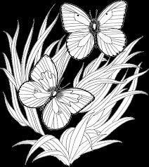Download and print these hard flowers coloring pages for free. Butterfly Coloring Pages 8 Purple Kitty