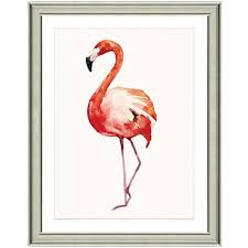 Vintage Print Gallery Fiery Flamingo I Framed Archival Paper Wall Art 20 In X 24 In In Full Size 1823 46 Ma58 13 2inw 16x20 The Home Depot Paper Wall Art Vintage Print Gallery Watercolor Art