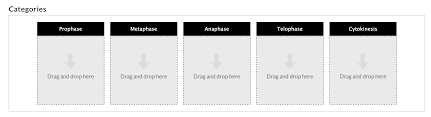 We did not find results for: Categories Prophase Metaphase Anaphase Telophase Chegg Com
