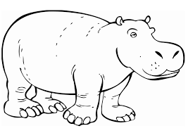 We did not find results for: Free Printable Hippo Coloring Pages For Kids