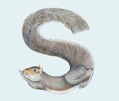 Letter S Animals In Alphabet Illustrations Paulo Canabarro Animal Alphabet Alphabet Illustration Animals