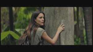 Check spelling or type a new query. Palm Trees In The Snow Trailer Hd Youtube