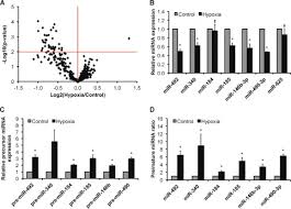 Wang kuo shing & co. Functional Importance Of Dicer Protein In The Adaptive Cellular Response To Hypoxia Journal Of Biological Chemistry