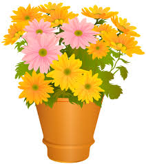 Flower Pot Transparent Png Clip Art Image In 2020 Flower Pots Art Images Clip Art