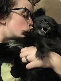 We moved our couch to paint and he's loving the new view 🤦🏻‍♀️😐