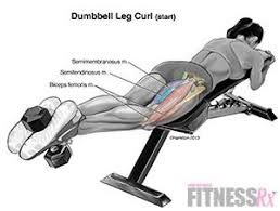 They hammer your hamstrings in a unique and painful way. Glute Ham Raise Leg Curl Workout Fitness Body