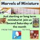 Marvels of Miniature