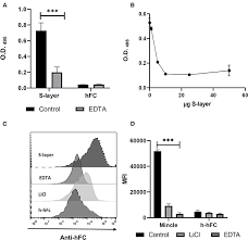 Ask anything you want to learn about brenda gross by getting answers on askfm. Frontiers S Layer From Lactobacillus Brevis Modulates Antigen Presenting Cell Functions Via The Mincle Syk Card9 Axis Immunology