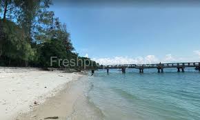 Langkawi (pulau langkawi, the main island), tuba, rebak and dayang bunting. Pulau Beras Basah Langkawi Island For Sale Freshproperty Co