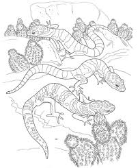 These alphabet coloring sheets will help little ones identify uppercase and lowercase versions of each letter. Desert Coloring Pages Best Coloring Pages For Kids Animal Coloring Pages Desert Animals Coloring Desert Animals