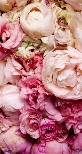Summer floral peonies greeting card. Garden Wallpaper Iphone Pink Peonies 43 Ideas Pink Flowers Wallpaper Peony Wallpaper Flower Wallpaper