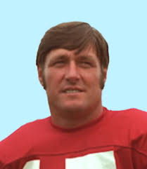 1981 American Football Association