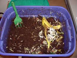 How many worms per square foot garden. Worm Composting Or Vermicomposting Gardening In Michigan