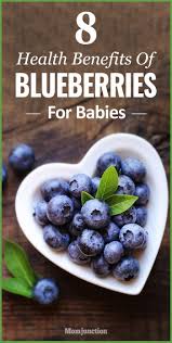 8 Delightful Health Benefits Of Blueberries For Babies Kids Nutrition Food Benefits Of Organic Food