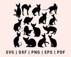 Download 83 Cat Svg Ideas In 2021 Svg Cat Svg Free Cats