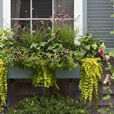 It's that time of year again! Window Boxes How To Choose The Best Flowers Planters This Old House