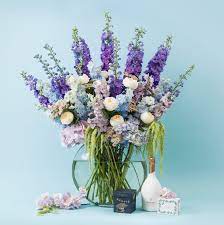 Maybe you would like to learn more about one of these? Same Day Flowers London Send Flowers Same Day