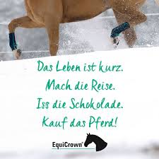 Das Leben Ist Kurz Mach Die Reise Iss Die Schokolade Kauf Das