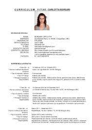 Nel 1992 ha conseguito il titolo di dottore di ricerca in linguistica. Europass Cv Template Italiano Registration Statement 2017 Cute766