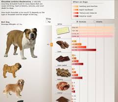 Interactive Chocolate Chart Effects On Dogs By Weight And