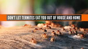 Since 2008, advantage mosquito & pest control has been the premier pest control service for the city of little rock and the surrounding areas. Clark Exterminating Home Facebook