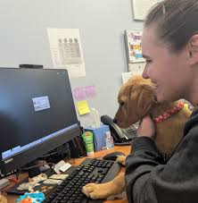 Twin Creek Animal Hospital