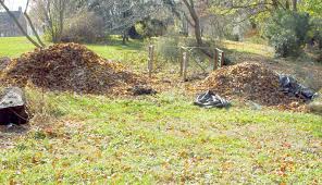 Do not shred wet documents with an inexpensive shredder as the consistency of the moist paper wet documents gone! Making Mulch From Leaves Fixing Our Historic House