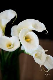 Wedding Theme Inspiration Art Deco The Details Wedding Theme Inspiration Art Deco Wedding Inspiration Art Deco Wedding