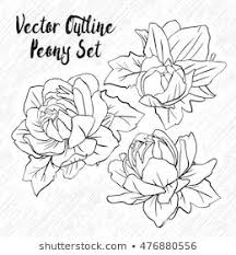 Anemone Clipart Black And White Similar Images Stock Photos Vectors Of Drawing Anemone Flowers Illustration Vector Clipart 619695716 Shutterstock
