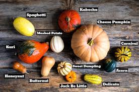 Image result for carnival acorn squash