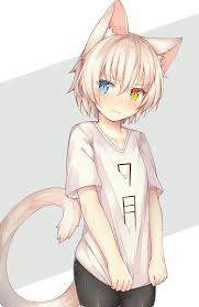 Cute Anime Cat Boy And Girl Anime Wallpapers With tenor, maker of gif keyboard, add popular cute anime kitten animated gifs to your conversations. cute anime cat boy and girl anime